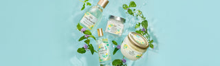 Minty Spark Yuzu