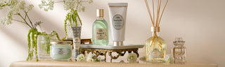 Delicate Jasmine