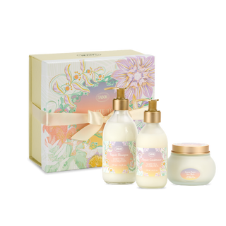 Coffret Cadeau - Routine Cheveux - White Tea Celebration